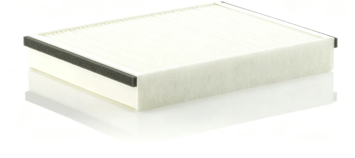 BLF010 Cabin Filter