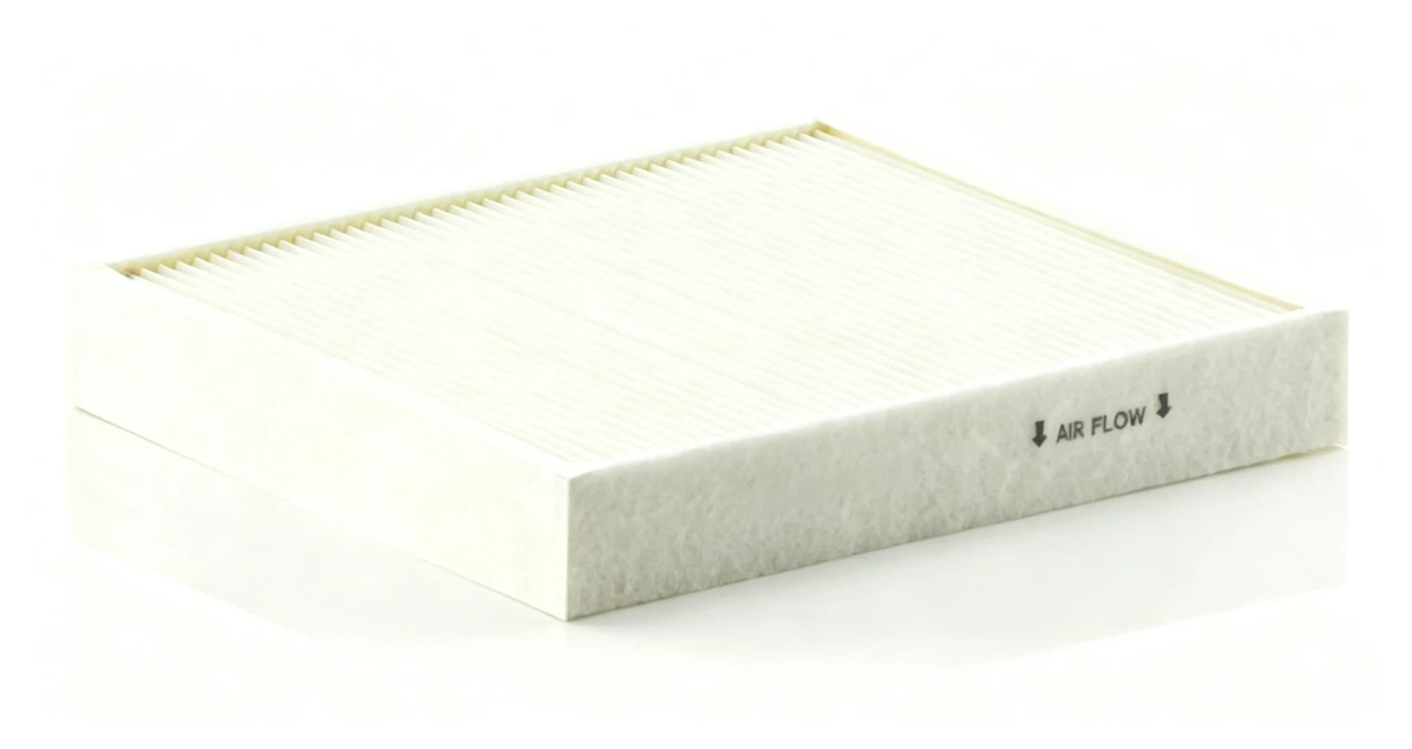 BLF102 Cabin Filter