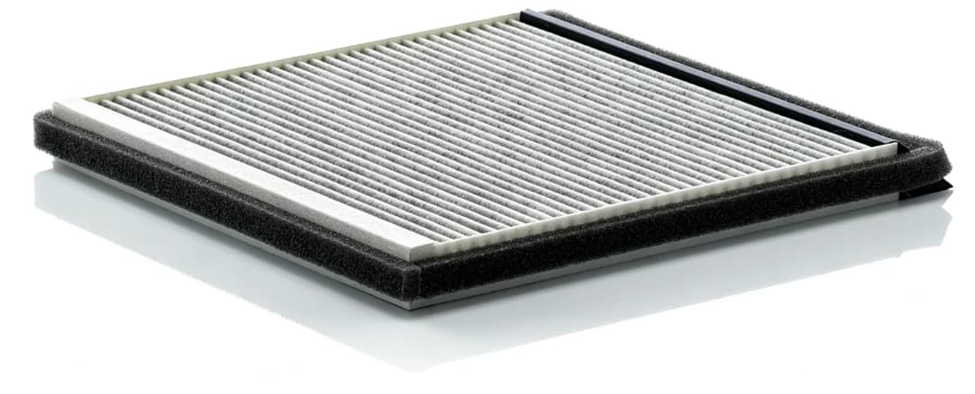 BLF1242 Cabin Filter