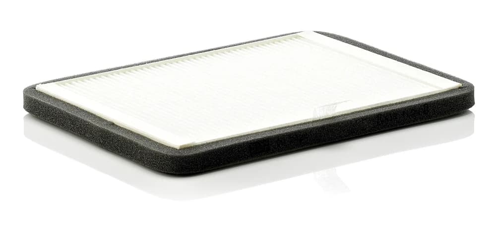 BLF197 Cabin filter
