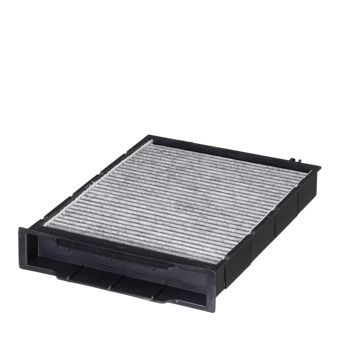 BLF229 Cabin Filter
