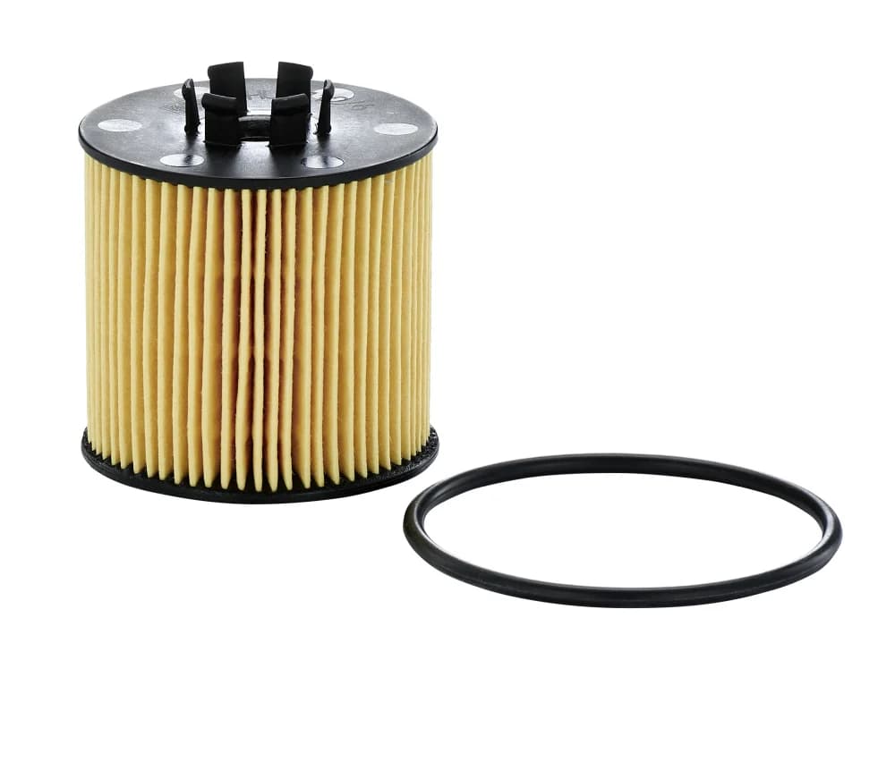 BLF493 Oil Filter