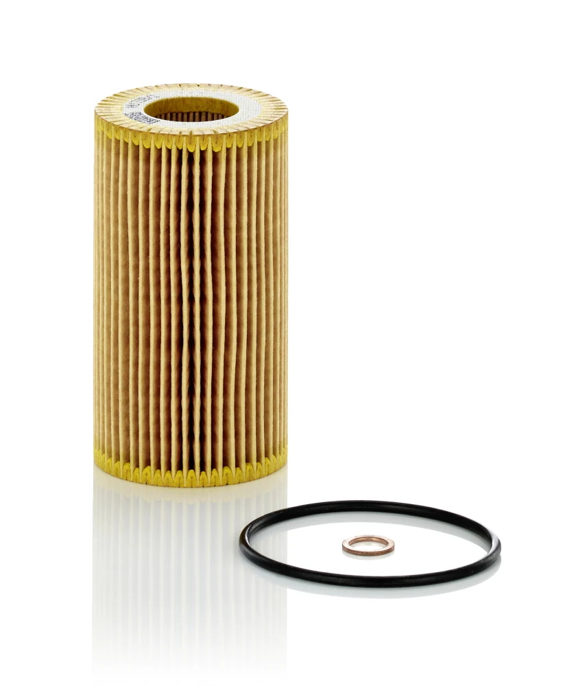 BLF495 Oil Filter