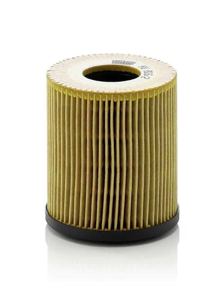 BLF496 Oil Filter