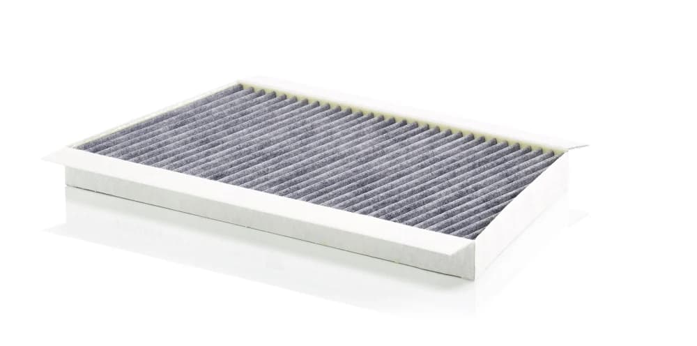 BLF552 Cabin filter