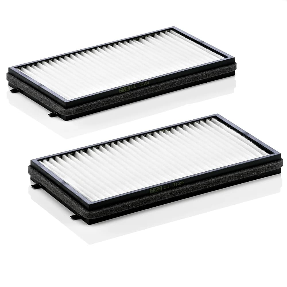 BLF618 Cabin filter