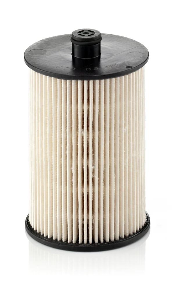BLF808 Fuel Filter