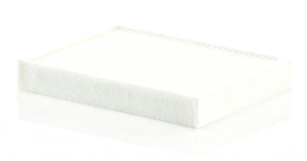 BLF843 Cabin Filter