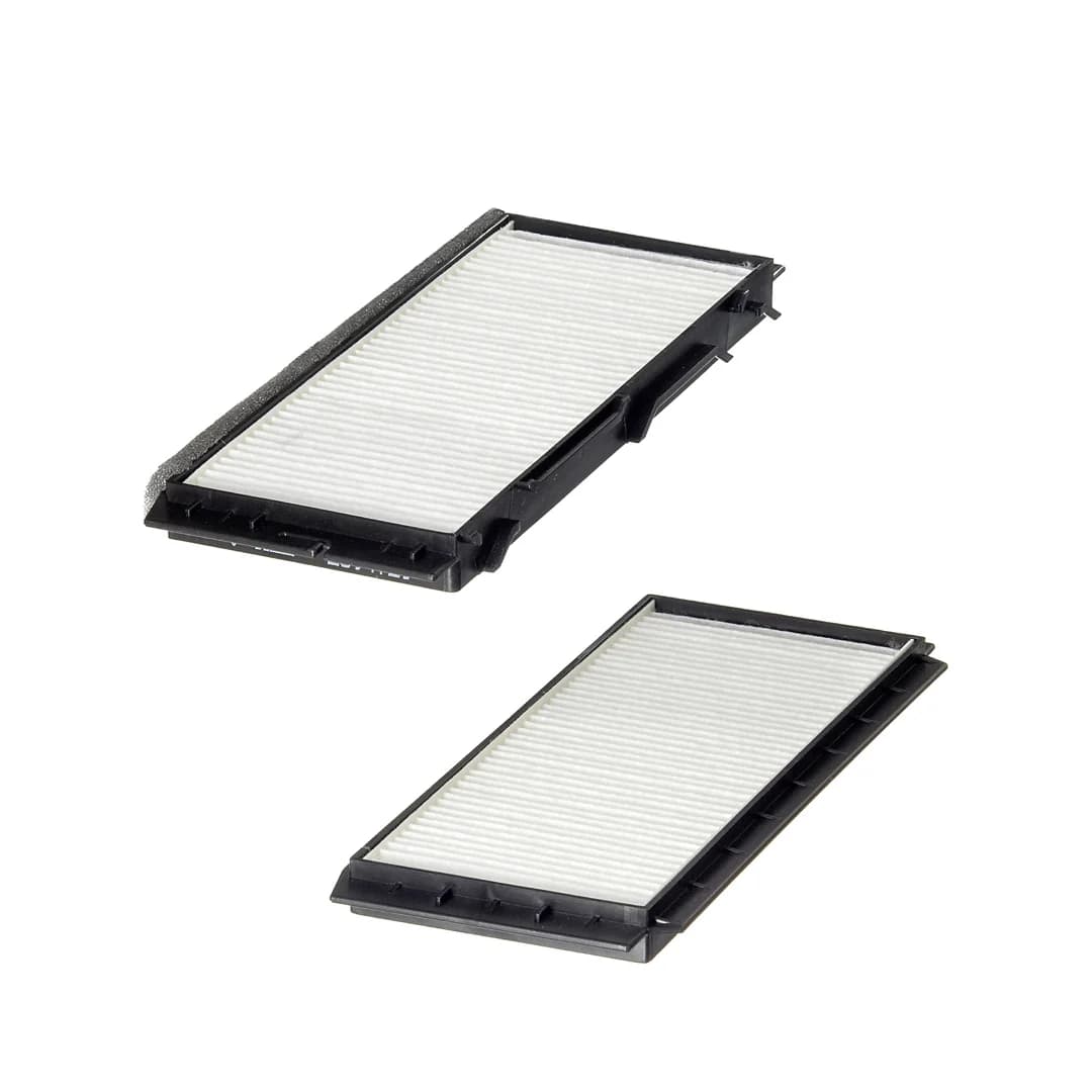BLF981 Cabin Filter