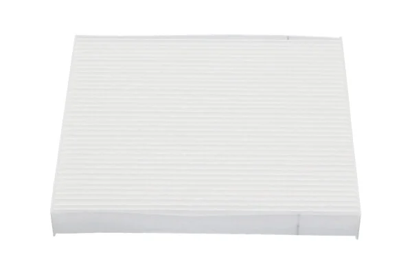 BLF248 Cabin filter