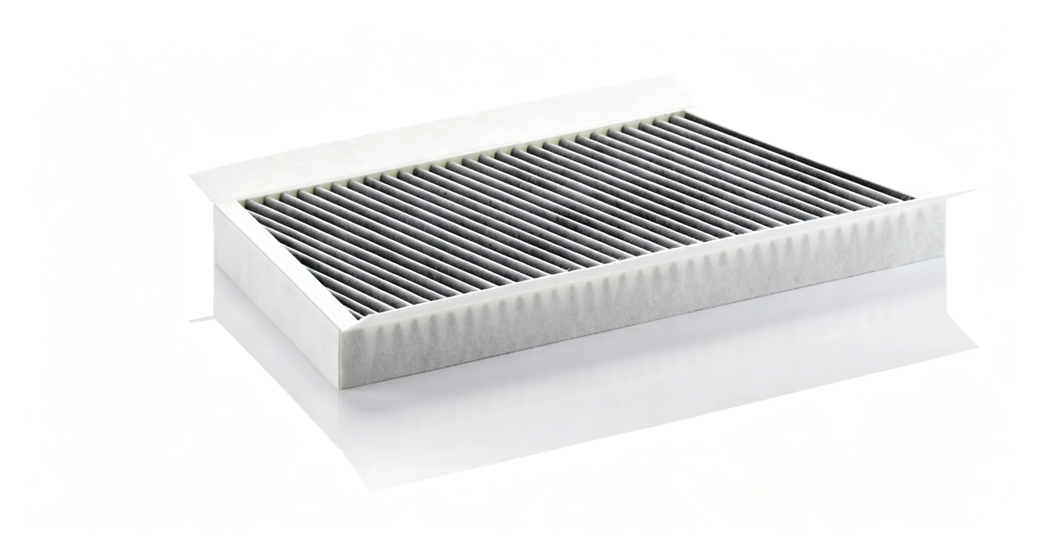 BLF975 Cabin filter