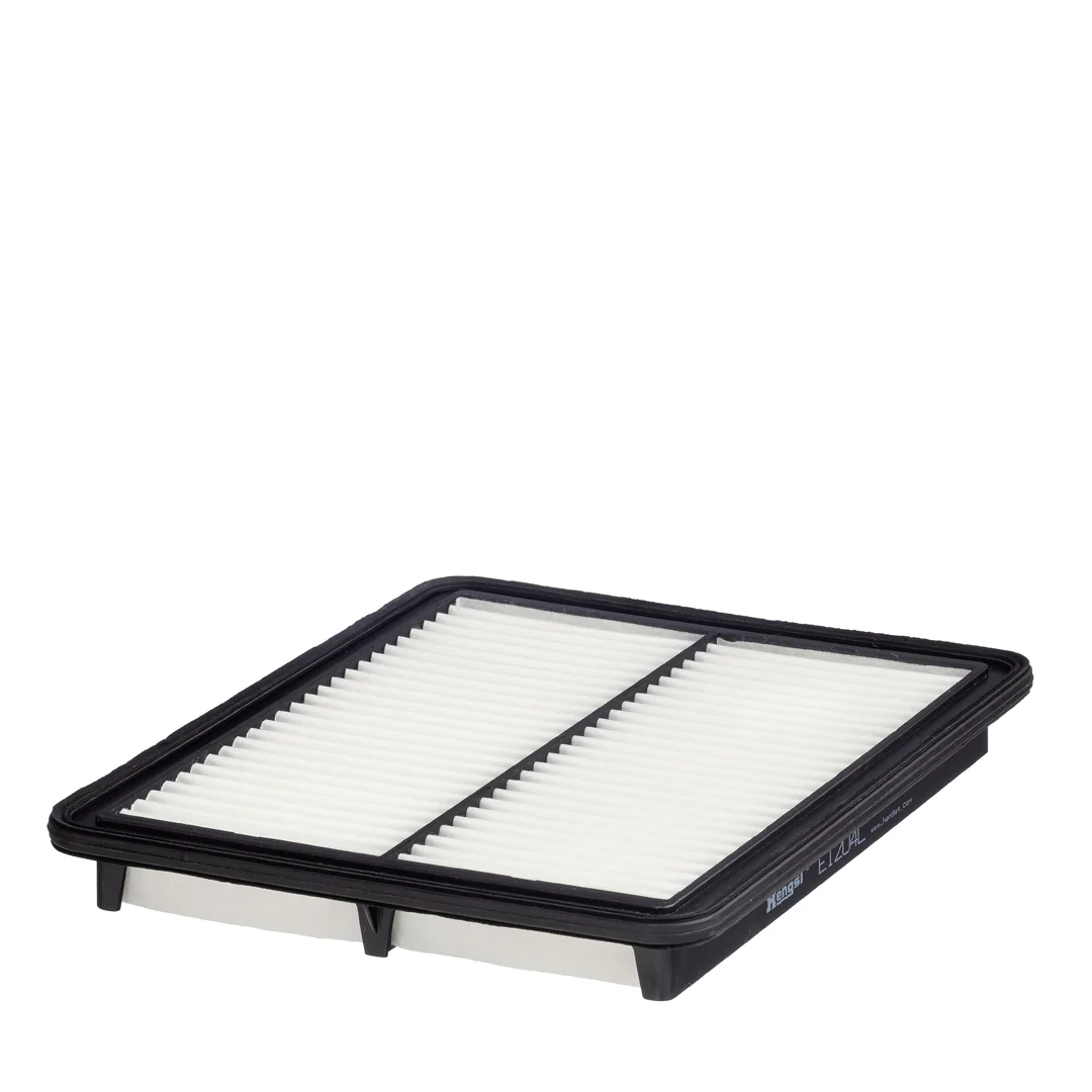 BLF1010 Air Filter