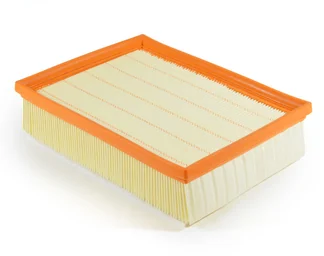 BLF1049 Air Filter