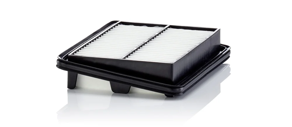 BLF1059 Air Filter