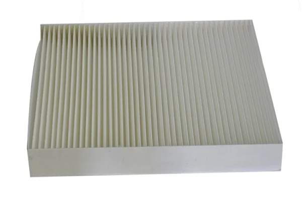 BLF1090 Air Filter