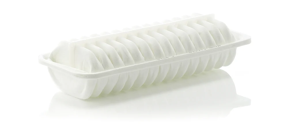 BLF1113 Air Filter
