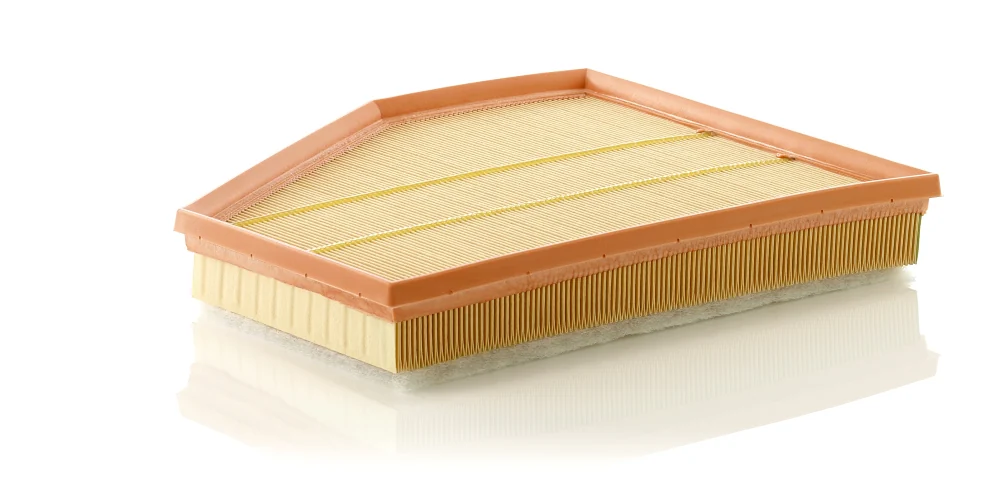 BLF1118 Air Filter
