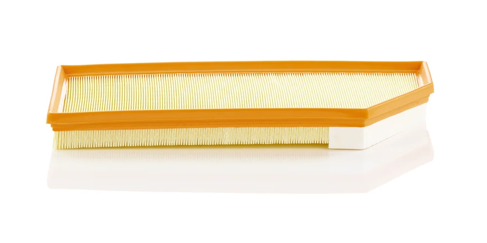 BLF1138 Air Filter