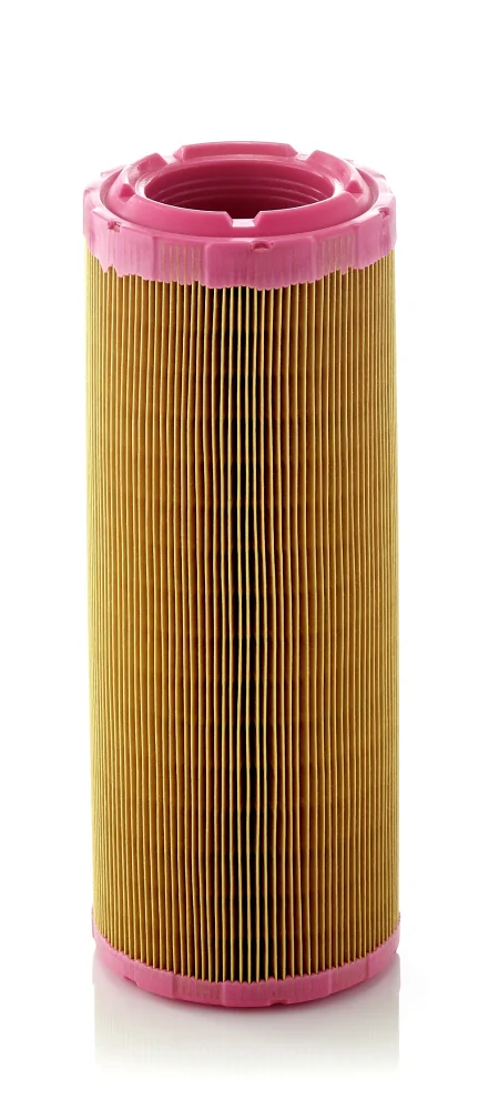 BLF1142 Air Filter