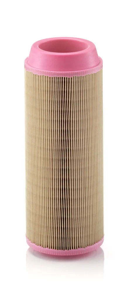 BLF1168 Air Filter