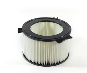 BLF166 Cabin Filter