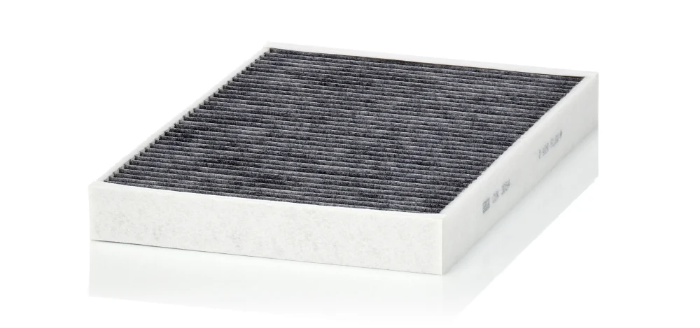 BLF185 Cabin Filter