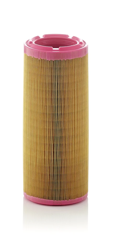BLF1887 Air Filter