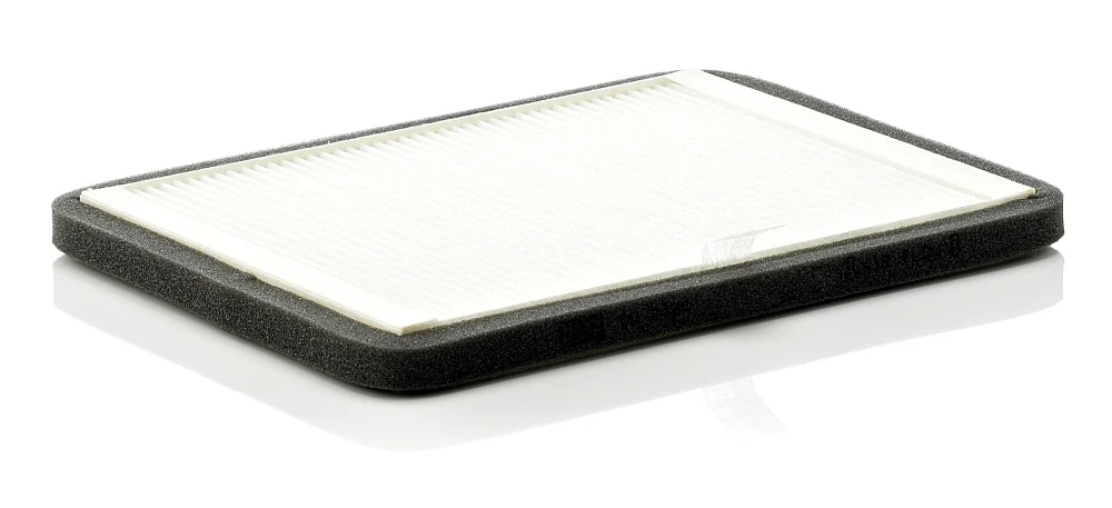BLF197 Cabin filter