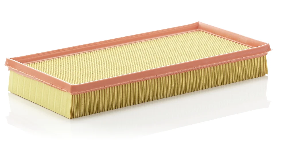 BLF286 Air Filter