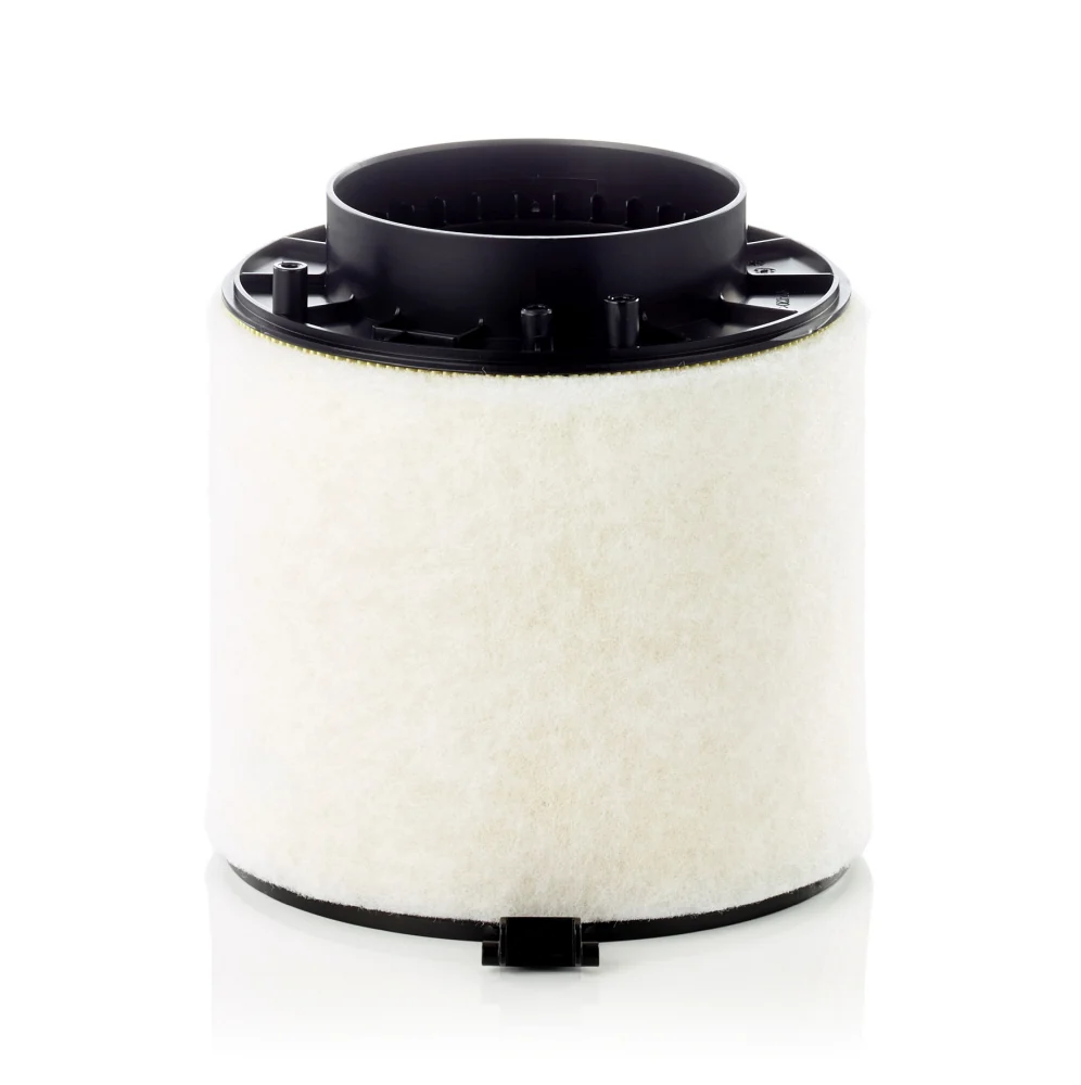BLF421 Air Filter