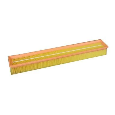 BLF429 Air Filter