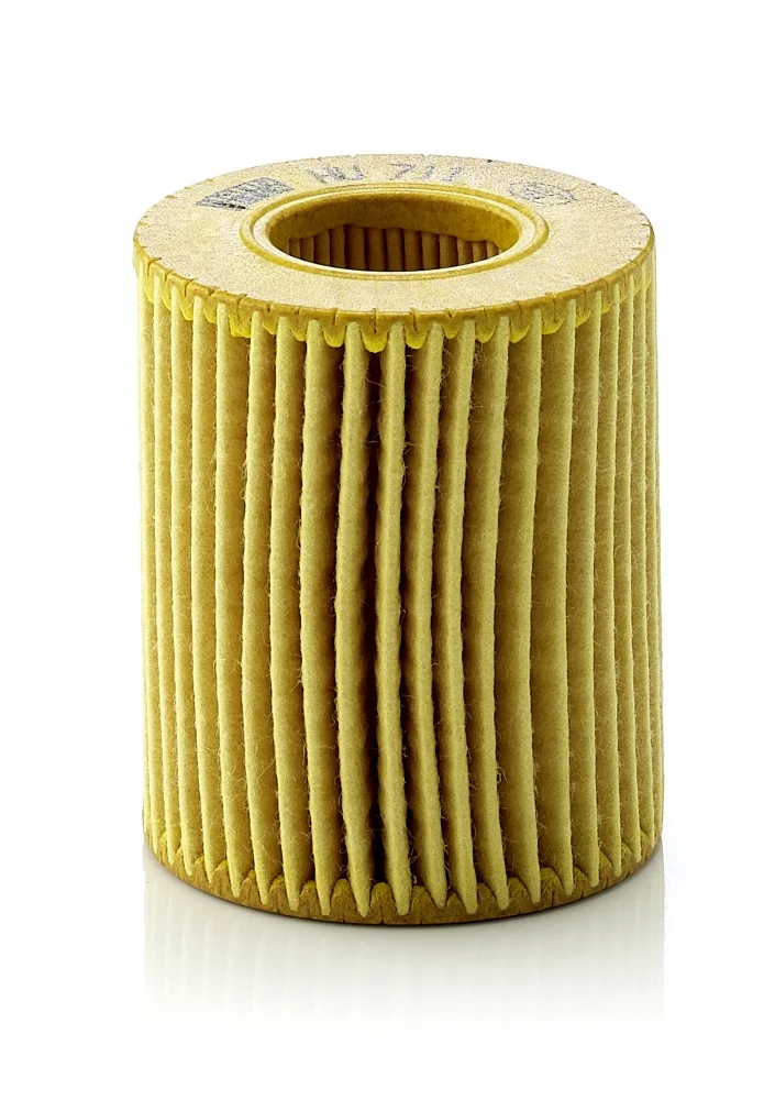BLF491 Oil Filter