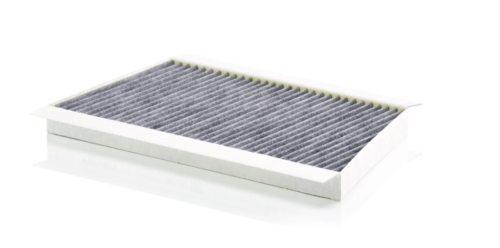 BLF552 Cabin filter