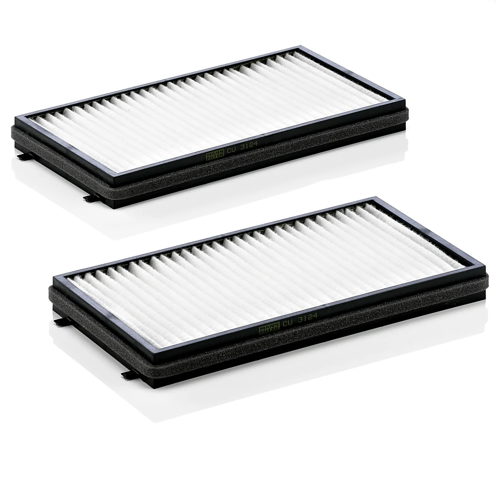 BLF618 Cabin filter