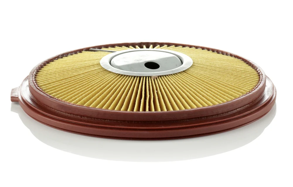 BLF989 Air Filter